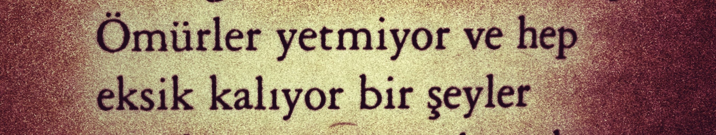 Ahmet Telli Belki Yine Gelirim