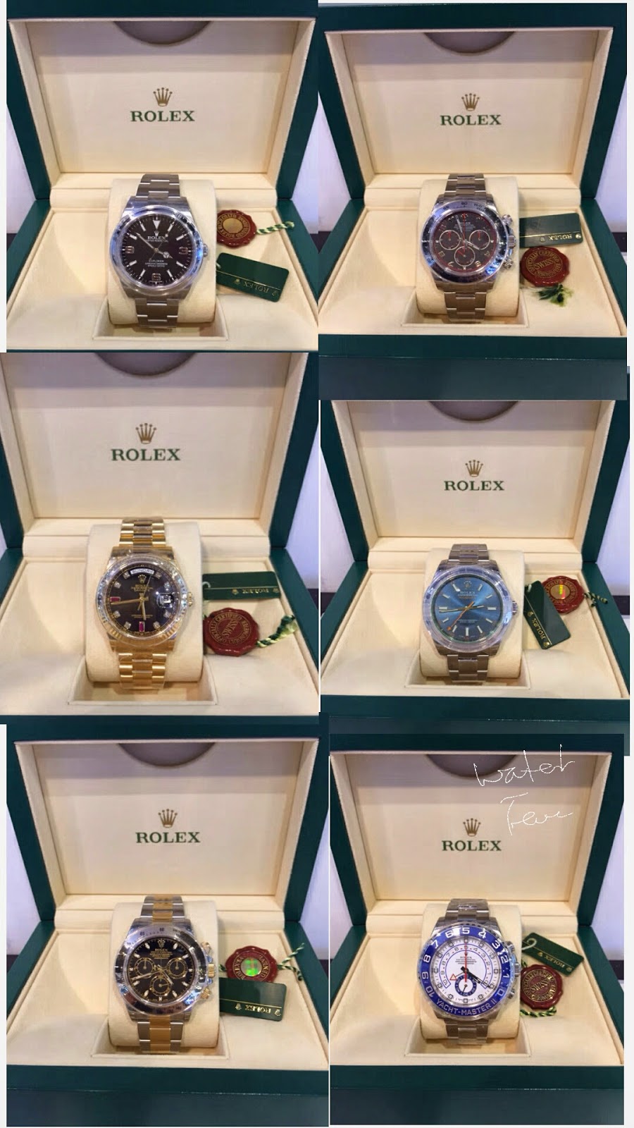 Hong Kong Watch Fever 香港勞友 January 15