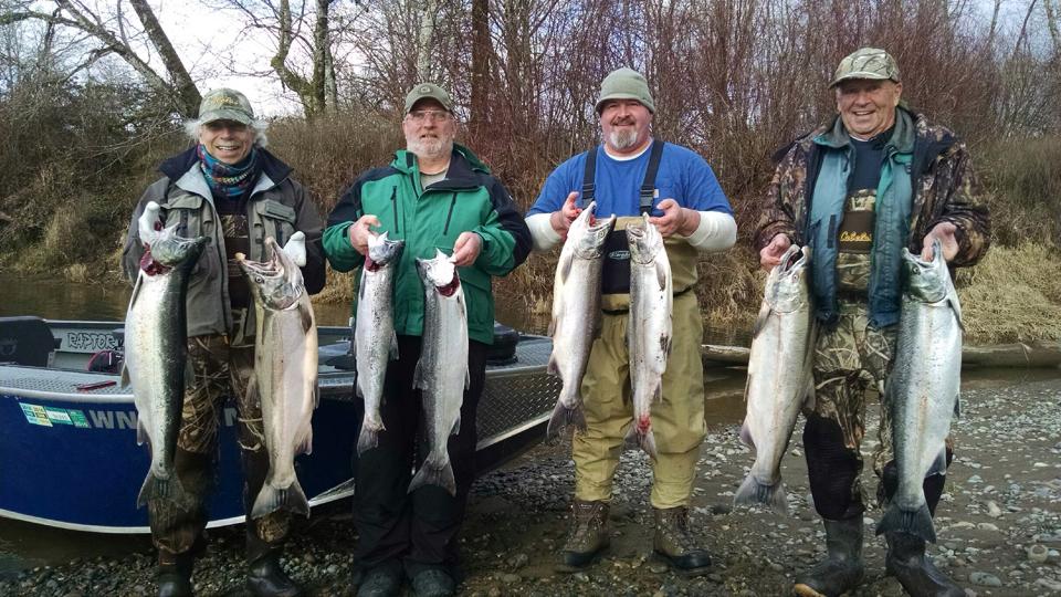 Saving Fish from Drowning Grays Harbor Fall Salmon Fishing 2015