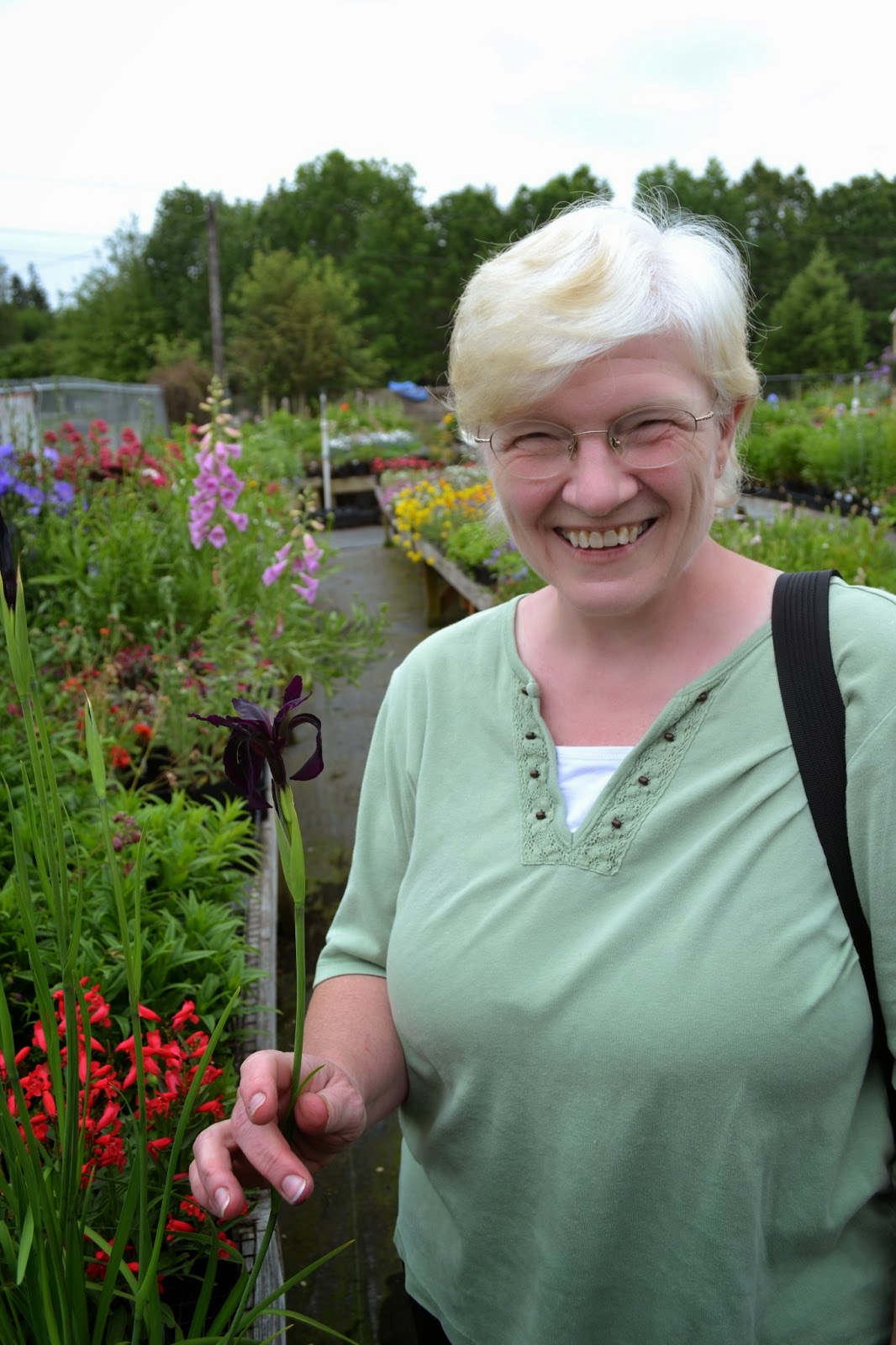 The Outlaw Gardener Vashon Island Part 3; Visiting Kathy's Corner Nursery