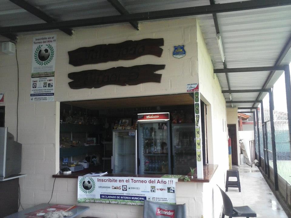 Copa Bicentenario: marzo 2013