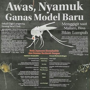 Betulkah, Nyamuk Model Baru? Betulkah, Nyamuk Model Baru?