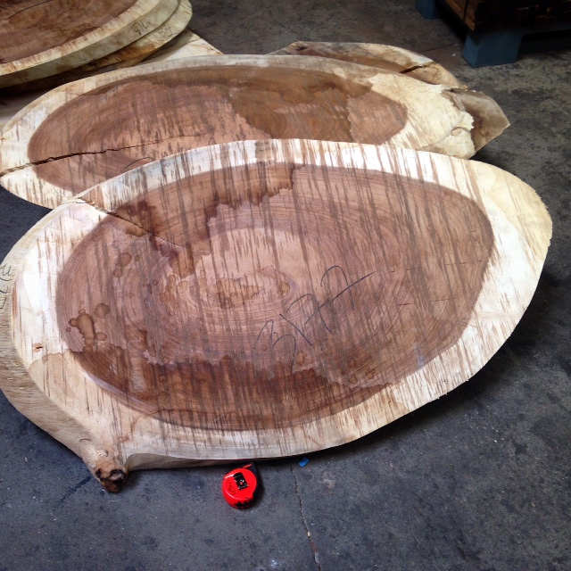 wood Parota "oystercut" round slabs!