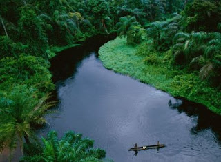 Sungai merupakan contoh dari lingkungan yang dibentuk oleh alam