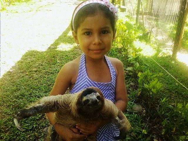 school girl & sloth / perezoso y niña