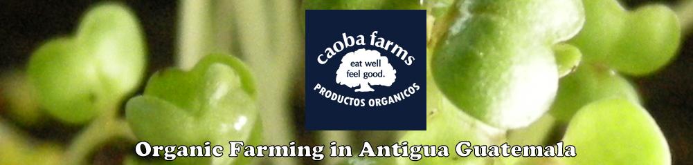 Caoba Farms - Organic Farming in Antigua Guatemala