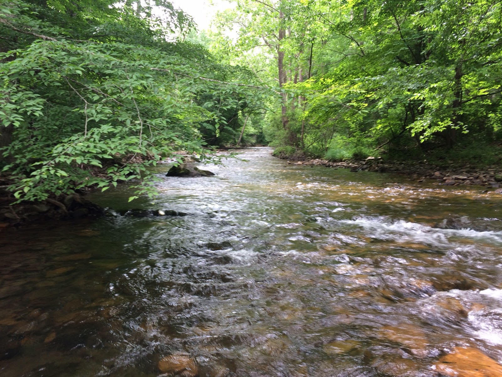 Virginia Water Radio Episode 425 (61818) Introducing the South Fork