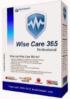 Wise Care 365 Pro Portable