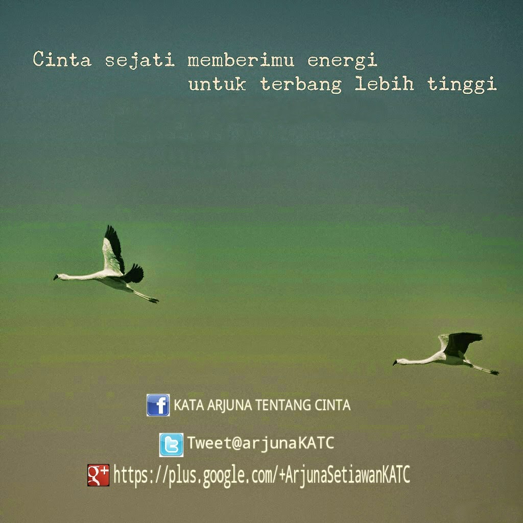 Kata Kata Wayang Tentang Cinta Bahasa Jawa | Cikimm.com
