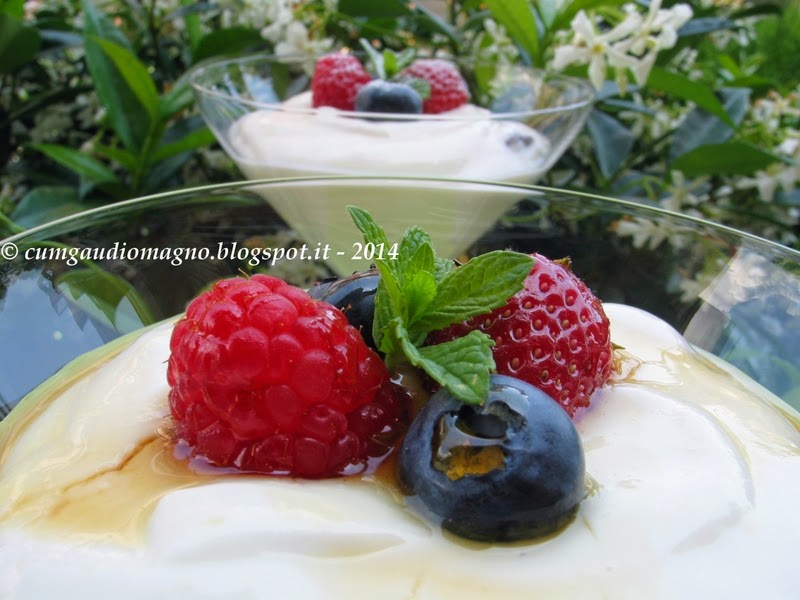 Cum Gaudio Magno Dessert di yogurt greco e frutti di bosco, felice più