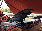 The Raven on the Viking Ship