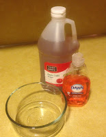 Ingredients (vinegar, Dawn soap) and dish