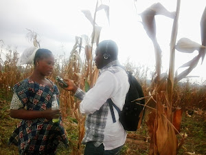 Farmers talk climate change in Ghana