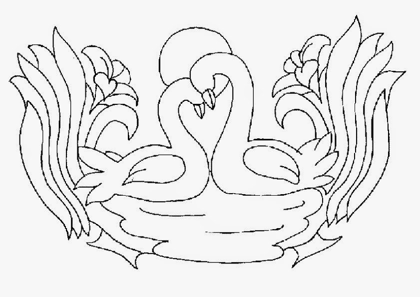 Best Couple Swans Colour Drawing HD Wallpaper