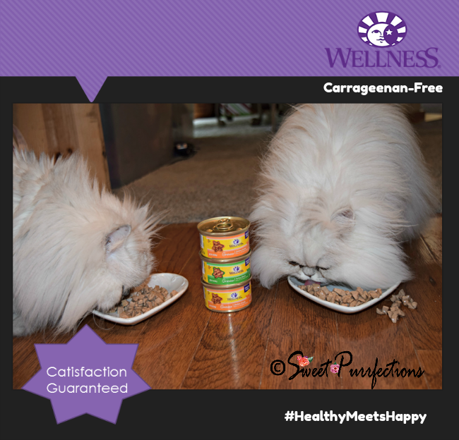 Sweet Purrfections Wellness Complete Health Cat Food