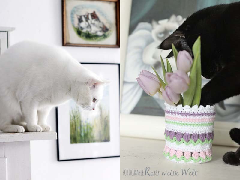 Resis Weisse Welt Page 3 Chan 36549695 Rssing Com