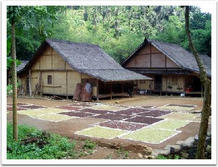 Gema Budaya: Mengenal Arsitektur Rumah Adat Baduy