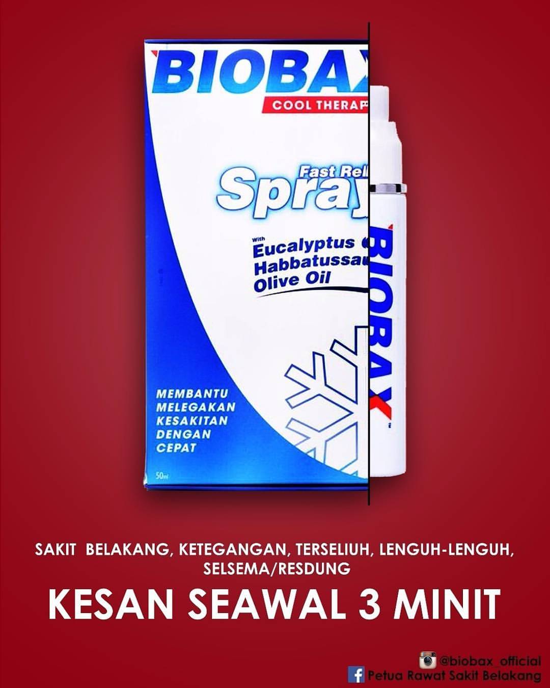 Ongah cik som Bunga Ongah cik som Cheq Pi