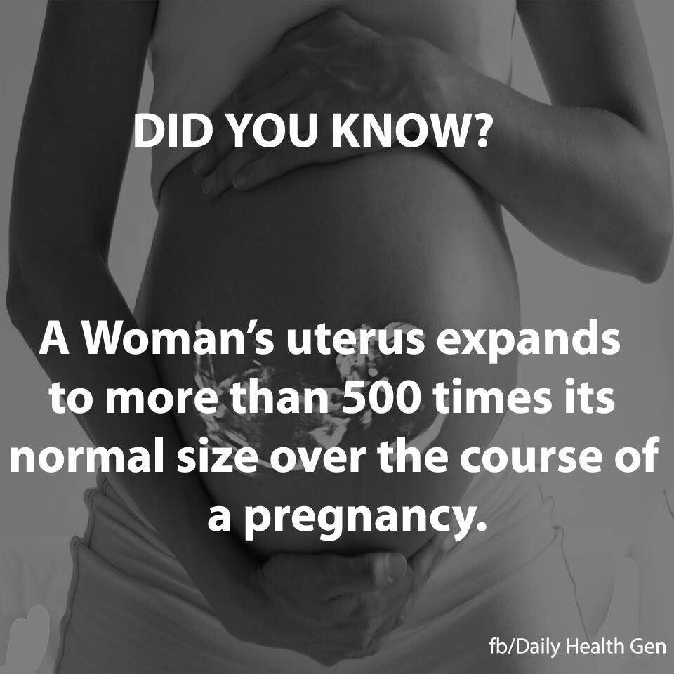 Pregnancy Facts You Should Know Part 1 Olomoinfo 