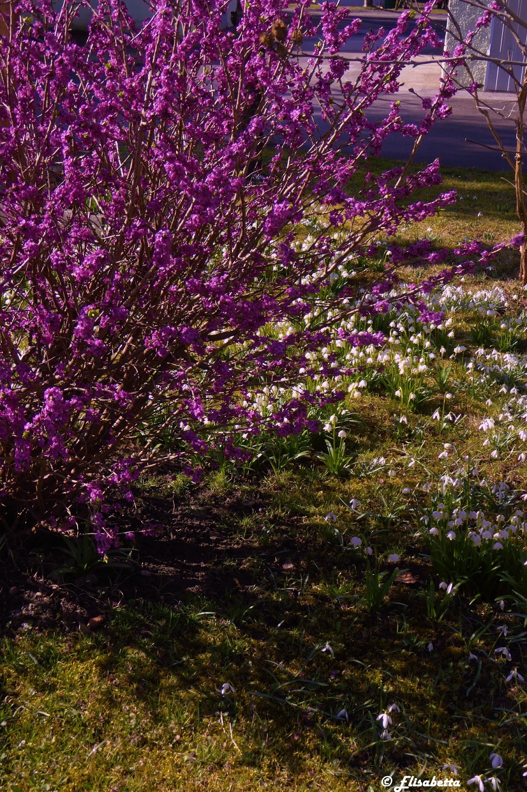 ist alles anders LA PRIMAVERA