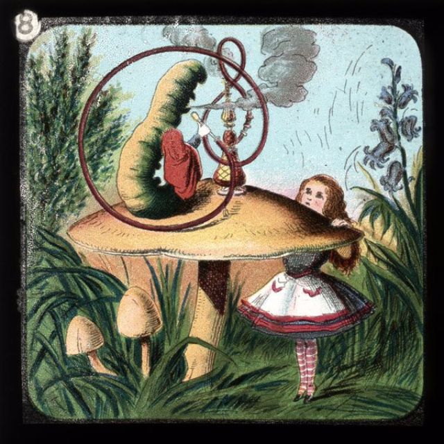 24 Vintage Glass Slides Based on Sir John Tenniel’s Original