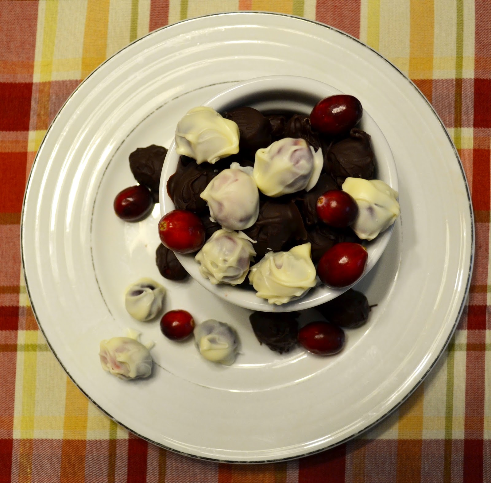 Simple Savory & Satisfying White Chocolate Covered Cranberries