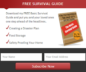 Survival Guide Pdf