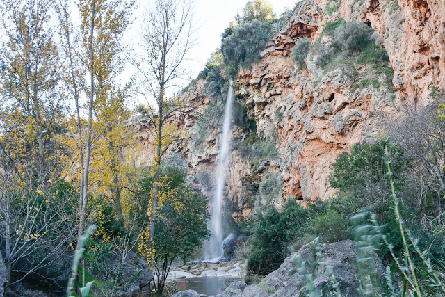 _DSC0907.jpg
