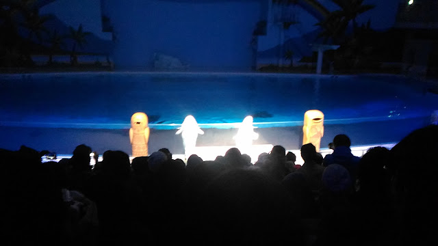 Ensuite les Belugas