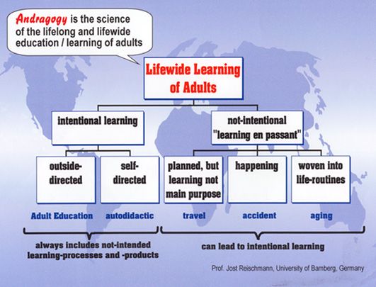 andragogy history meaning context function historical context definition