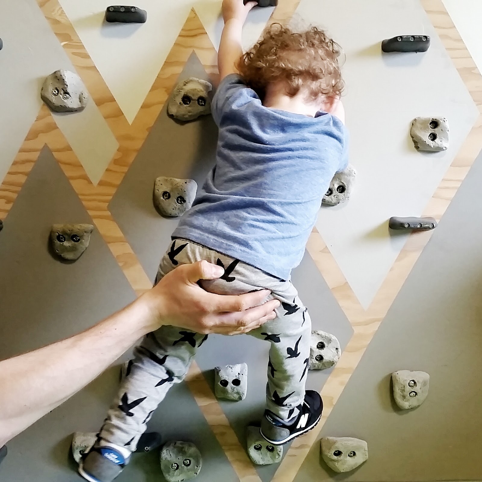 Fresh Coat of Paint A Climbing Wall For Our Mountain Goat