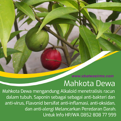 Cara Menyembuhkan Wasir Yang Sudah Berdarah