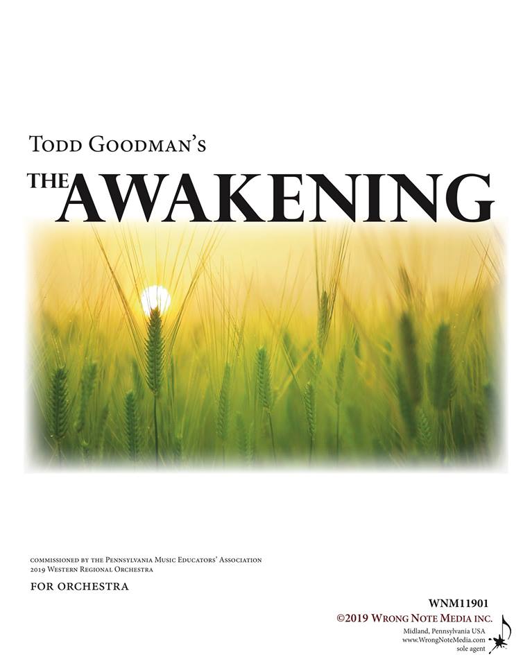 Thoughts of a String Educator The Awakening, Todd Goodman