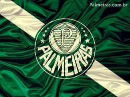 PALMEIRAS MINHA VIDA É VOCÊ!!!!!!!!