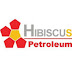 HIBISCS (5199) - Hibiscus eyeing more acquisitions