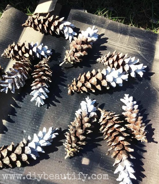 Spray painted pine cones