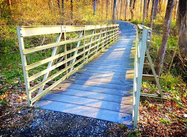 First Bridge on the McDade Trail