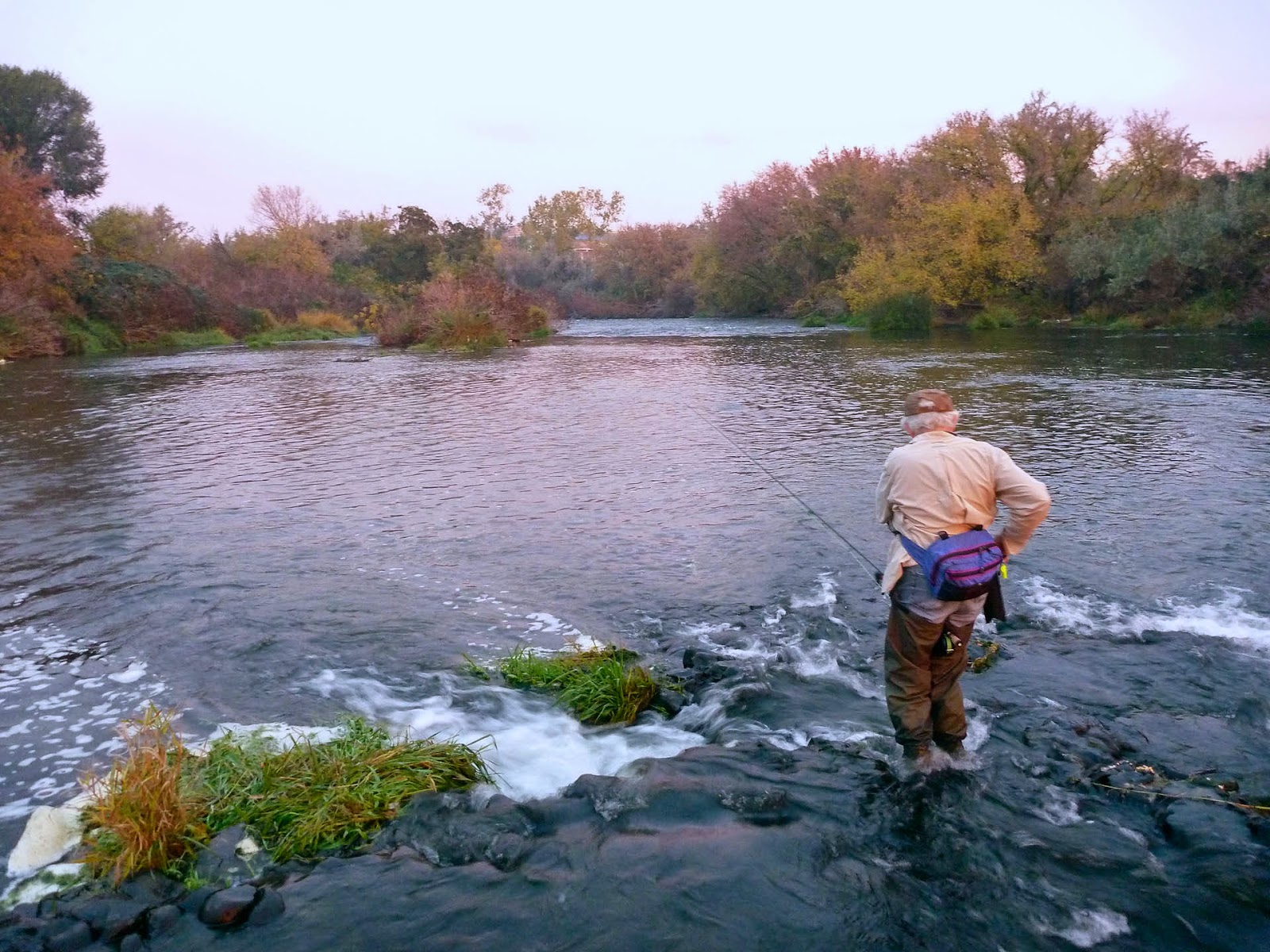 Walla² Fly Fishers Steelhead and salmon fishing the lower Umatilla River
