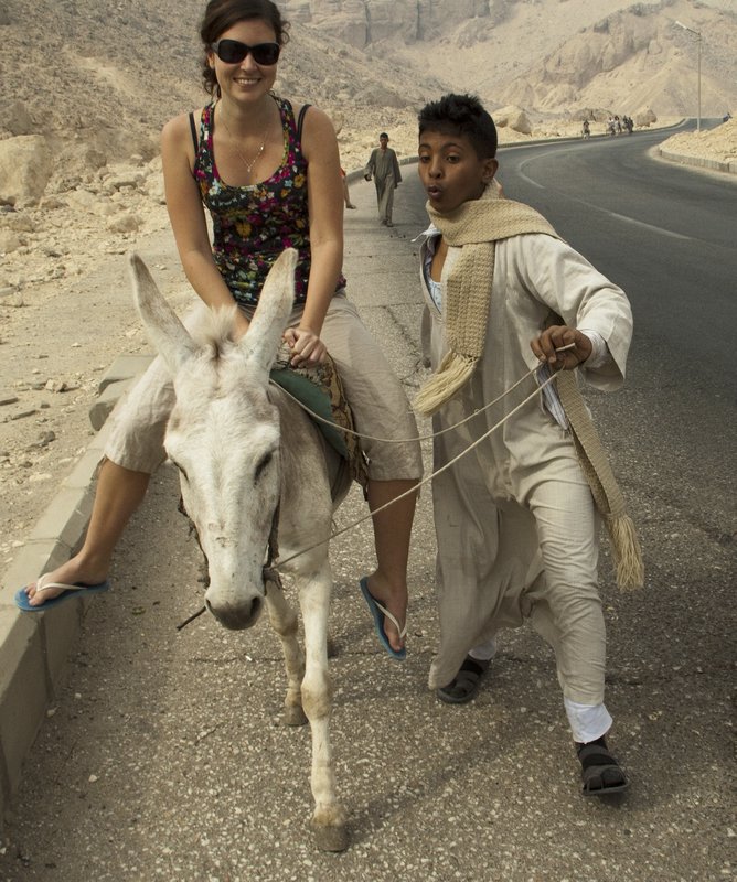 The poor Donkey Indirasite