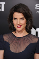 Cobie Smulders HQ photo