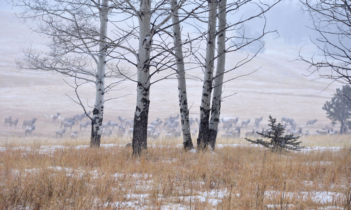 Creative Journey Back Country Photography