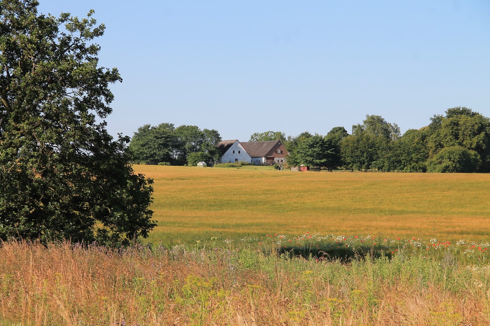 Vandringsløse Tidende: Viby Sjælland