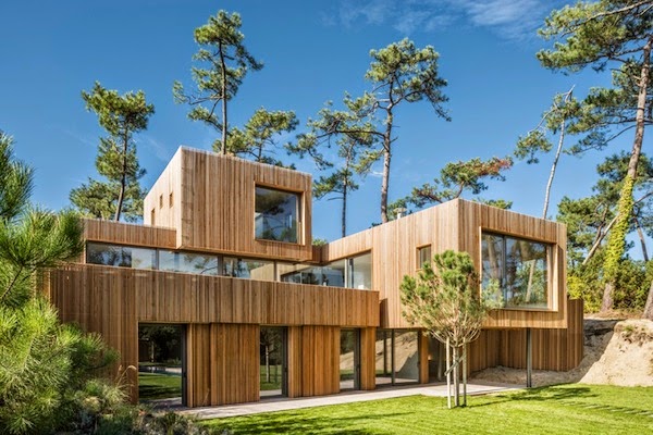 The perfect replica of the pine wood
