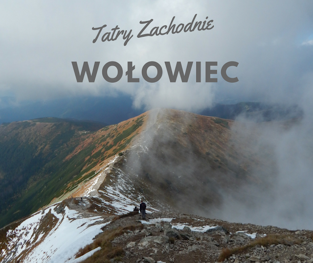 Grześ Rakoń Wołowiec Tatry Dolina Chochołowska