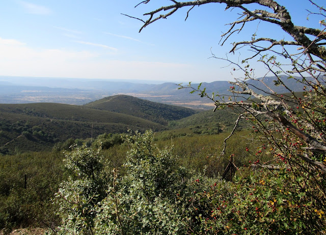 Paisajes del Parque Nacional de Cabañeros