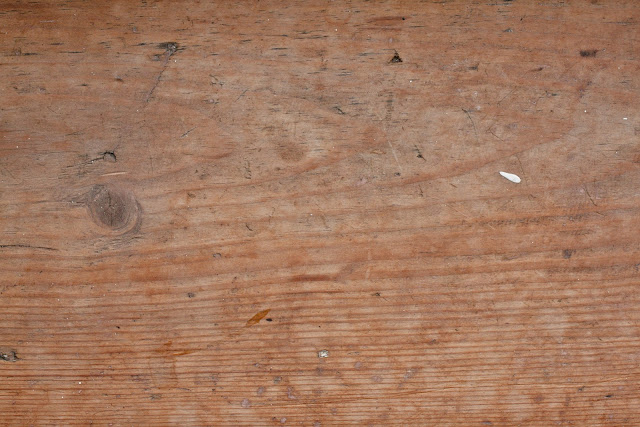 Flat Evenly Lit Wood Texture 4752x3168