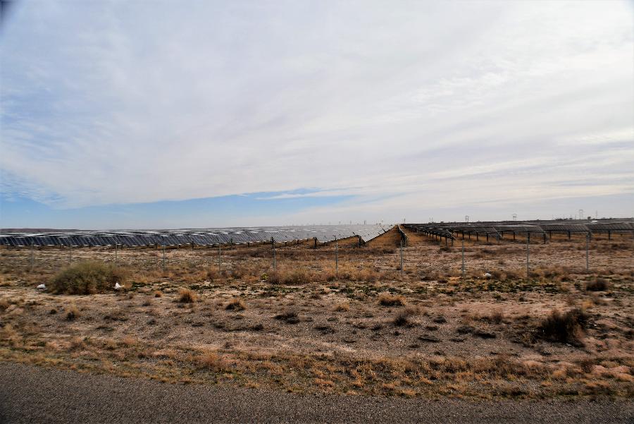High Tide And Green Grass: Roswell, New Mexico, Bitter Lake National