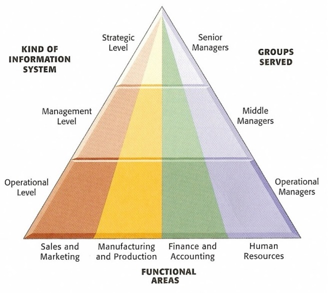 Kinds of programs. Management information Systems. Levels and functions of Management. Management information System зачем. Types of Managers.