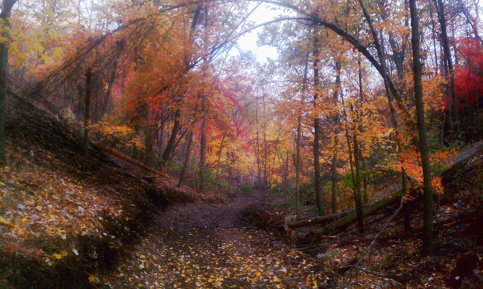 Baron Fork Ridge Horse Camp