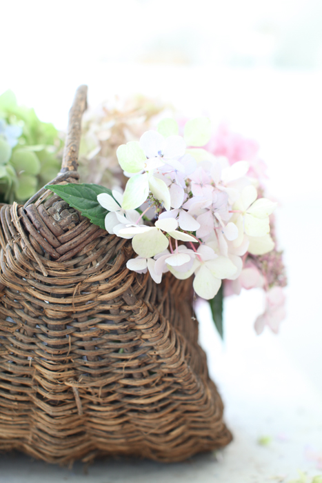Dreamy Whites Antique French Cafe Au Lait Bowls Pale And dreamy-whites-antique-french-cafe-au-lait-bowls-pale-and